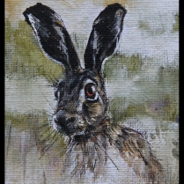 Hare head study in Acrylic