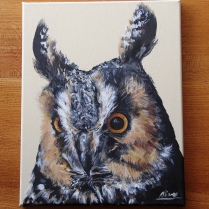 Long Eared Owl in Acrylic