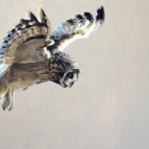 Short Eared Owl in Acrylic